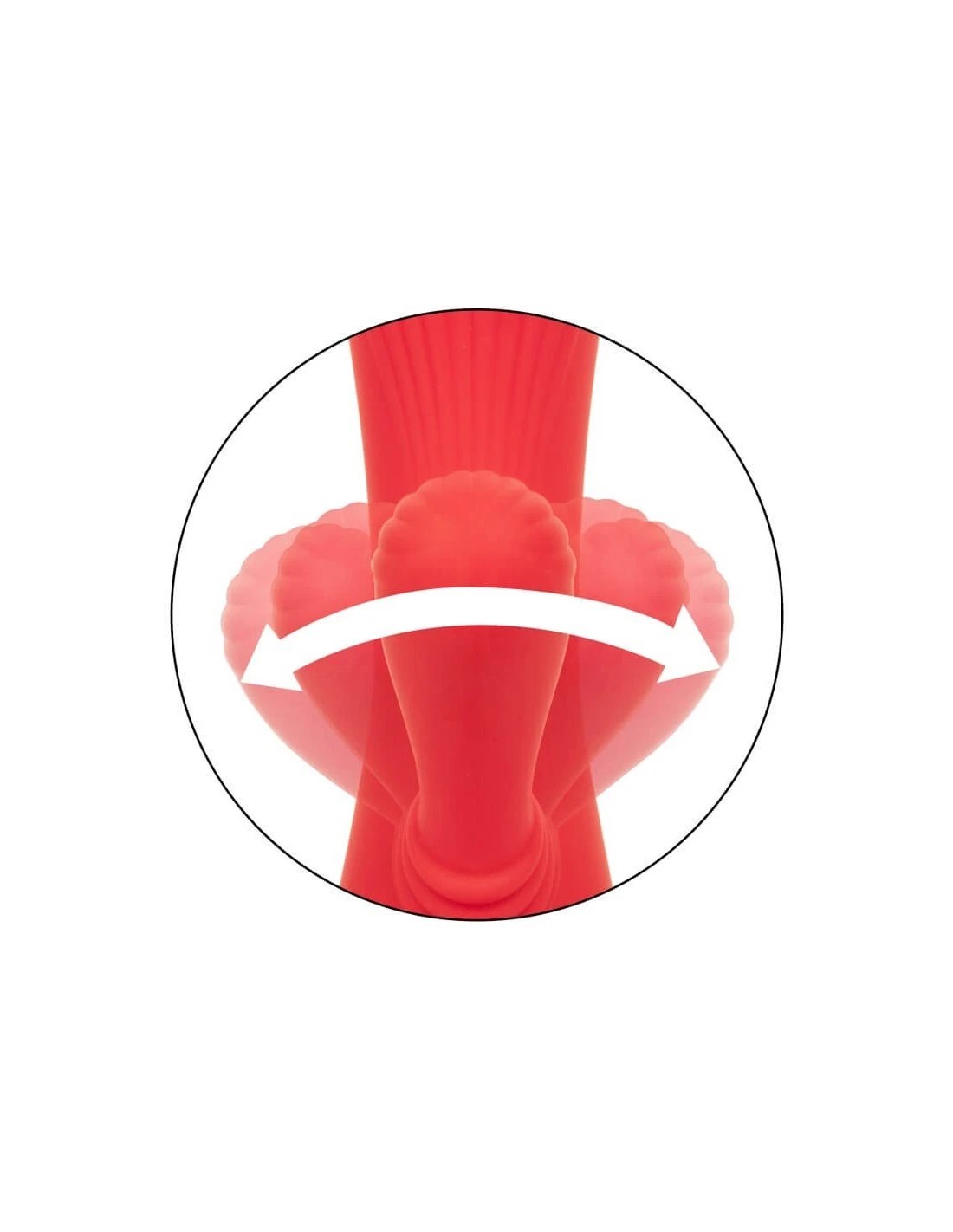 California Exotic Novelties CalExotics Palisades Passion - Afbeelding 7