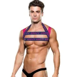 Envy Logo Harness Blue Pink M/L