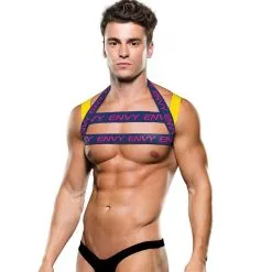 Envy Logo Harness Blue Yellow L/XL